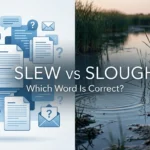 Slew vs Slough: What’s the Difference?
